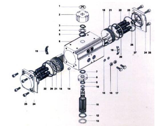 Pneumatic Actuator