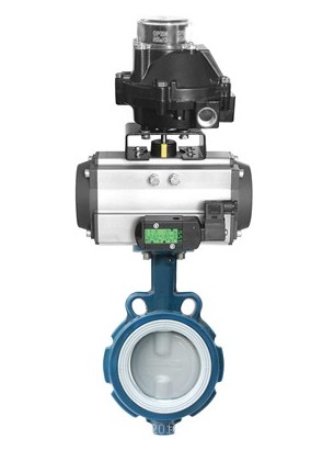 Butterfly Valve